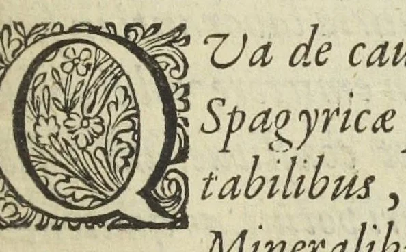 An illustration from Pharmacopoea Spagyrica, sive exacta descriptio, qua ratione ex vegetabilibus, animalibus & mineralibus, modo haud usitato faciliorique, utilia, efficacia, & penetrantia medicamenta fieri praepararique possint. Pars prima[-septima et prima appendix]. In usum afflictissimi generis humani in lucem prolata, per Joannem Rudolphum Glauberum., 1654, leaf 85