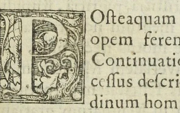 An illustration from Tractatus de medicina universali, sive auro potabili vero, hoc est, accurata descriptio veræ medicinæ universalis, ejusque admirabilis efficaciæ & virtutis, quas in vegetabilia, animalia & mineralia exercet. Cœco huic mundo, instar luminis claro splendore lucentis, obscuras sophisticationes cognoscendi, & à veritate dignosendi rationem ob oculos ponens, & omnes agros desertos consolandi, & extremo auxilio adjuvendi gratiâ, descripta à Johan. Rudolph. Glaubero., 1658, leaf 4