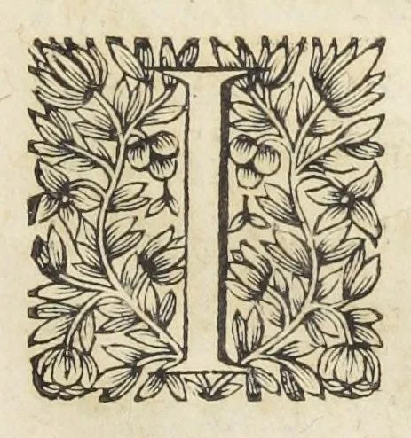 An illustration from Remarques sur le livre de l'antimoine de Me Eusebe Renaudot Docteur regent en la faculté de medecine de Paris. Par Jean Merlet escuyer Docteur regent de la mesme Faculté, & un de ses anciens doyens., 1654, leaf 57