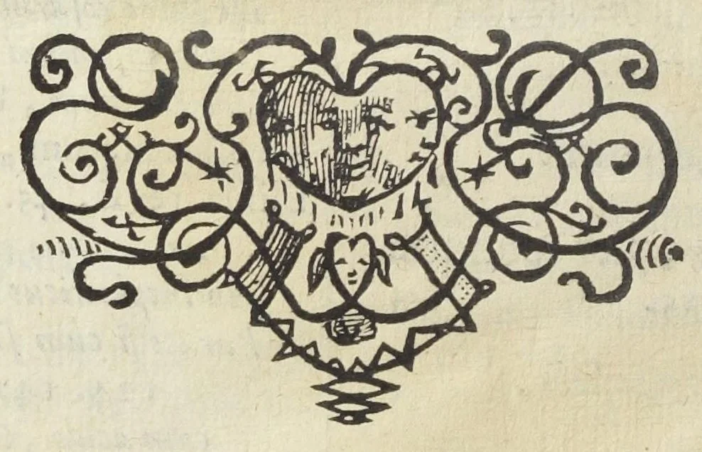 An illustration from Chemia rationalis rationibus philosophicis, observationibus medicis, debitis dosibus, &c. illustrata, cum indice capitum, medicamentorum, eorumque dosium. Accedit Praxis chymiatrica rationalis, demonstrans qua in re singularum partium consistat operatio, per quam causam tollatur, & per quænam remedia (utpote chymicalia vegetabilibus justa methodo mixta) possit restitui. Cum triplici indice. uno capitum, altero remediorum, tertio simplicium, ad calcem adjecto. Auctore P. T., Med. Doct., 1687, leaf 360