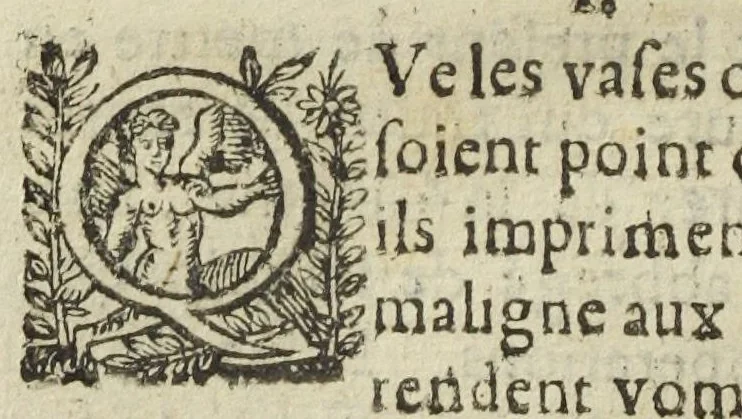 An illustration from Les elemens de chymie, de maistre Jean Beguin. Reveus, expliquez, & augmentez, par Jean Lucas de Roy, medecin boleducois. Quatriesme edition., 1637, leaf 116