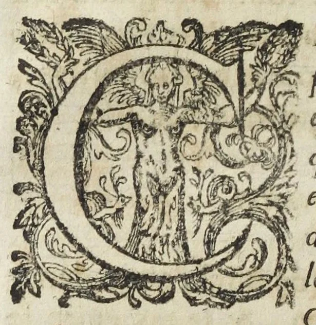 An illustration from Les elemens de chymie, de maistre Jean Beguin. Reveus, expliquez, & augmentez, par Jean Lucas de Roy, medecin boleducois. Quatriesme edition., 1637, leaf 174