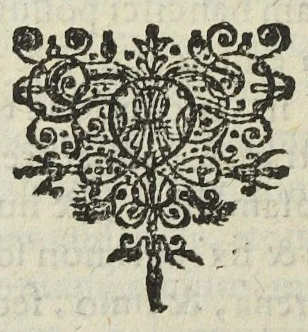 An illustration from Prosperitatis Germaniæ quarta pars, in quâ multa praeclara, utilia, patriaeque commodo inservientia arcana revelantur, & efficacium, atque metallis depromptorum, usiusque medico destinatorum condimentorum, ut & aurearum potionum confectiones & praeparationes variar docentur. Cum adjuncto tractatu manifestante laboratorium meum, hactenus incognita secreta in humani generis utilitatem & commodum publicum docebuntur, & demonstrabuntur. In honorem Dei, & Patriae emolumentum opus conscriptum& in lucem editum a Johanne Rudolpho Glaubero., 1659, leaf 144