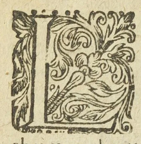 An illustration from Philosophia pyrotechnica. Wilielmi Davissoni, nobilis Scoti, doctoris medici. Seu Cursus chymiatricus, nobilissima illa & exoptatissima medicinæ parte pyrotechnica instructus…, 1640, leaf 14