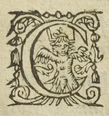 An illustration from Philosophia pyrotechnica. Wilielmi Davissoni, nobilis Scoti, doctoris medici. Seu Cursus chymiatricus, nobilissima illa & exoptatissima medicinæ parte pyrotechnica instructus…, 1640, leaf 33
