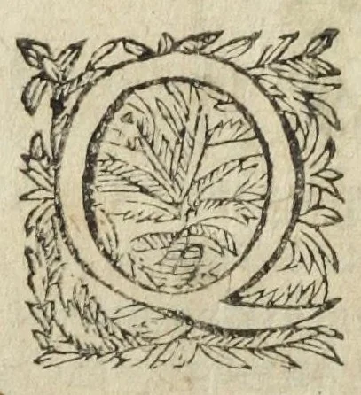 An illustration from Philosophia pyrotechnica. Wilielmi Davissoni, nobilis Scoti, doctoris medici. Seu Cursus chymiatricus, nobilissima illa & exoptatissima medicinæ parte pyrotechnica instructus…, 1640, leaf 542