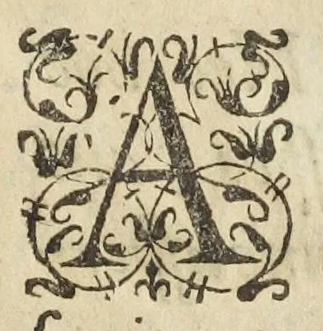 An illustration from Philosophia pyrotechnica. Wilielmi Davissoni, nobilis Scoti, doctoris medici. Seu Cursus chymiatricus, nobilissima illa & exoptatissima medicinæ parte pyrotechnica instructus…, 1640, leaf 553
