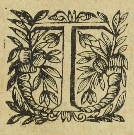 An illustration from L'abregé des secrets chymiques ou l'on void la nature des animaux vegetaux & mineraux entierement découverte : avec les vertus et proprietez des principes qui composent & conservent leur estre; & un traitté de la medecine generale. Par M. Pierre Jean Fabre, docteur en la faculté de medecine de l'université de Montpellier., 1636, leaf 109
