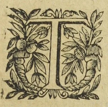 An illustration from L'abregé des secrets chymiques ou l'on void la nature des animaux vegetaux & mineraux entierement découverte : avec les vertus et proprietez des principes qui composent & conservent leur estre; & un traitté de la medecine generale. Par M. Pierre Jean Fabre, docteur en la faculté de medecine de l'université de Montpellier., 1636, leaf 135