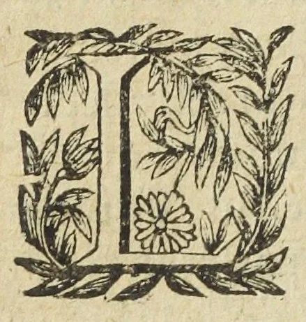 An illustration from L'abregé des secrets chymiques ou l'on void la nature des animaux vegetaux & mineraux entierement découverte : avec les vertus et proprietez des principes qui composent & conservent leur estre; & un traitté de la medecine generale. Par M. Pierre Jean Fabre, docteur en la faculté de medecine de l'université de Montpellier., 1636, leaf 156