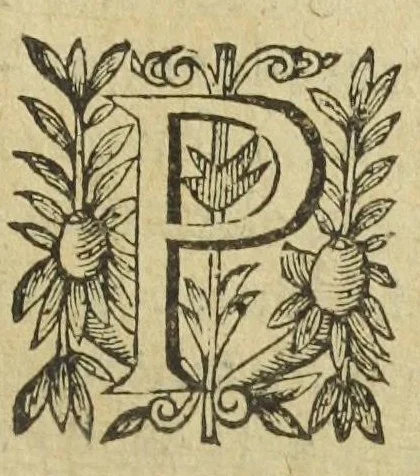 An illustration from L'abregé des secrets chymiques ou l'on void la nature des animaux vegetaux & mineraux entierement découverte : avec les vertus et proprietez des principes qui composent & conservent leur estre; & un traitté de la medecine generale. Par M. Pierre Jean Fabre, docteur en la faculté de medecine de l'université de Montpellier., 1636, leaf 177