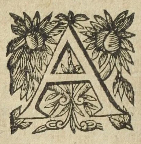 An illustration from L'abregé des secrets chymiques ou l'on void la nature des animaux vegetaux & mineraux entierement découverte : avec les vertus et proprietez des principes qui composent & conservent leur estre; & un traitté de la medecine generale. Par M. Pierre Jean Fabre, docteur en la faculté de medecine de l'université de Montpellier., 1636, leaf 206