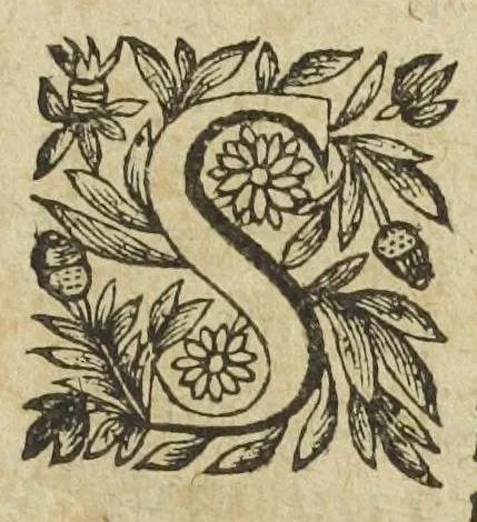 An illustration from L'abregé des secrets chymiques ou l'on void la nature des animaux vegetaux & mineraux entierement découverte : avec les vertus et proprietez des principes qui composent & conservent leur estre; & un traitté de la medecine generale. Par M. Pierre Jean Fabre, docteur en la faculté de medecine de l'université de Montpellier., 1636, leaf 211