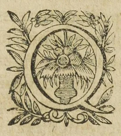 An illustration from L'abregé des secrets chymiques ou l'on void la nature des animaux vegetaux & mineraux entierement découverte : avec les vertus et proprietez des principes qui composent & conservent leur estre; & un traitté de la medecine generale. Par M. Pierre Jean Fabre, docteur en la faculté de medecine de l'université de Montpellier., 1636, leaf 221