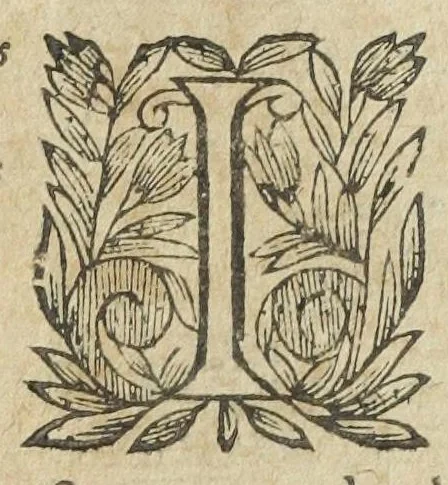 An illustration from L'abregé des secrets chymiques ou l'on void la nature des animaux vegetaux & mineraux entierement découverte : avec les vertus et proprietez des principes qui composent & conservent leur estre; & un traitté de la medecine generale. Par M. Pierre Jean Fabre, docteur en la faculté de medecine de l'université de Montpellier., 1636, leaf 234