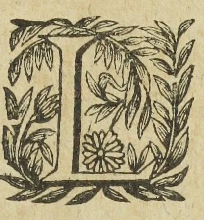 An illustration from L'abregé des secrets chymiques ou l'on void la nature des animaux vegetaux & mineraux entierement découverte : avec les vertus et proprietez des principes qui composent & conservent leur estre; & un traitté de la medecine generale. Par M. Pierre Jean Fabre, docteur en la faculté de medecine de l'université de Montpellier., 1636, leaf 245