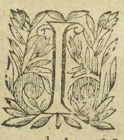 An illustration from L'abregé des secrets chymiques ou l'on void la nature des animaux vegetaux & mineraux entierement découverte : avec les vertus et proprietez des principes qui composent & conservent leur estre; & un traitté de la medecine generale. Par M. Pierre Jean Fabre, docteur en la faculté de medecine de l'université de Montpellier., 1636, leaf 263
