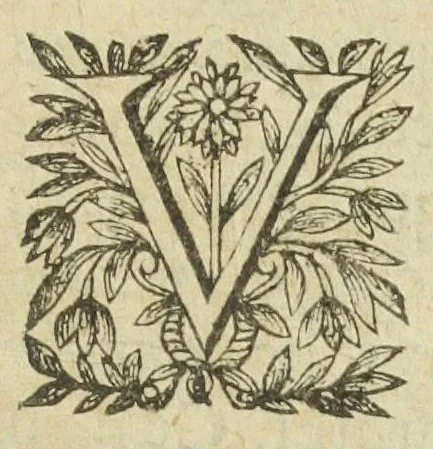 An illustration from L'abregé des secrets chymiques ou l'on void la nature des animaux vegetaux & mineraux entierement découverte : avec les vertus et proprietez des principes qui composent & conservent leur estre; & un traitté de la medecine generale. Par M. Pierre Jean Fabre, docteur en la faculté de medecine de l'université de Montpellier., 1636, leaf 273