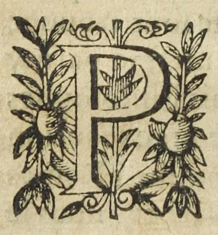 An illustration from L'abregé des secrets chymiques ou l'on void la nature des animaux vegetaux & mineraux entierement découverte : avec les vertus et proprietez des principes qui composent & conservent leur estre; & un traitté de la medecine generale. Par M. Pierre Jean Fabre, docteur en la faculté de medecine de l'université de Montpellier., 1636, leaf 28