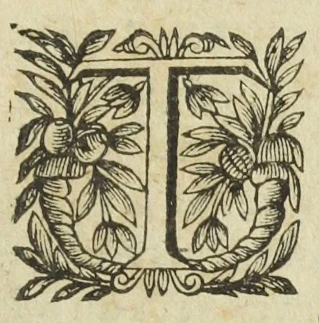 An illustration from L'abregé des secrets chymiques ou l'on void la nature des animaux vegetaux & mineraux entierement découverte : avec les vertus et proprietez des principes qui composent & conservent leur estre; & un traitté de la medecine generale. Par M. Pierre Jean Fabre, docteur en la faculté de medecine de l'université de Montpellier., 1636, leaf 289