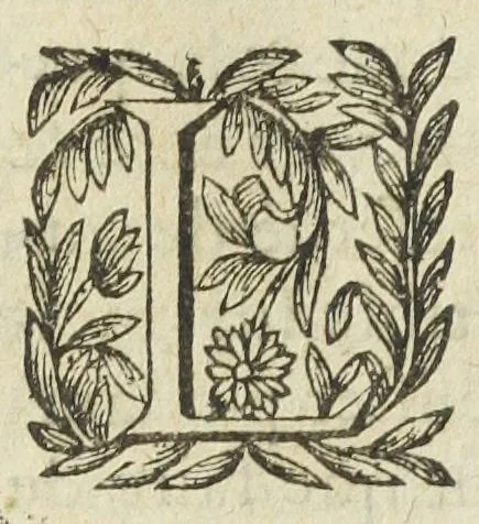 An illustration from L'abregé des secrets chymiques ou l'on void la nature des animaux vegetaux & mineraux entierement découverte : avec les vertus et proprietez des principes qui composent & conservent leur estre; & un traitté de la medecine generale. Par M. Pierre Jean Fabre, docteur en la faculté de medecine de l'université de Montpellier., 1636, leaf 294