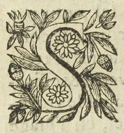 An illustration from L'abregé des secrets chymiques ou l'on void la nature des animaux vegetaux & mineraux entierement découverte : avec les vertus et proprietez des principes qui composent & conservent leur estre; & un traitté de la medecine generale. Par M. Pierre Jean Fabre, docteur en la faculté de medecine de l'université de Montpellier., 1636, leaf 298