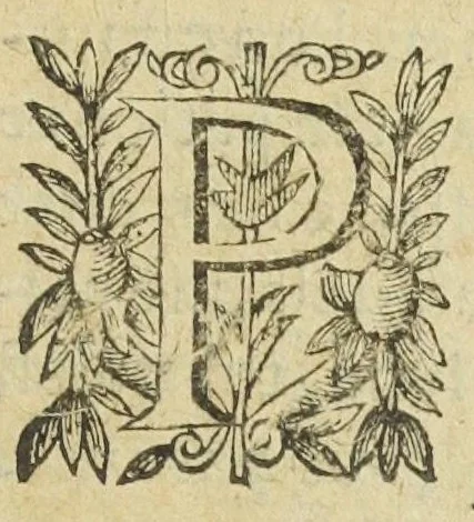 An illustration from L'abregé des secrets chymiques ou l'on void la nature des animaux vegetaux & mineraux entierement découverte : avec les vertus et proprietez des principes qui composent & conservent leur estre; & un traitté de la medecine generale. Par M. Pierre Jean Fabre, docteur en la faculté de medecine de l'université de Montpellier., 1636, leaf 317
