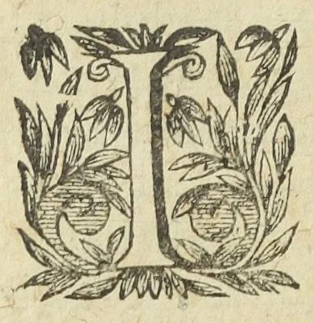 An illustration from L'abregé des secrets chymiques ou l'on void la nature des animaux vegetaux & mineraux entierement découverte : avec les vertus et proprietez des principes qui composent & conservent leur estre; & un traitté de la medecine generale. Par M. Pierre Jean Fabre, docteur en la faculté de medecine de l'université de Montpellier., 1636, leaf 322