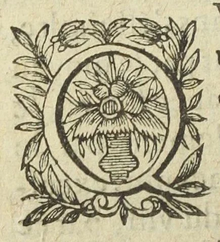 An illustration from L'abregé des secrets chymiques ou l'on void la nature des animaux vegetaux & mineraux entierement découverte : avec les vertus et proprietez des principes qui composent & conservent leur estre; & un traitté de la medecine generale. Par M. Pierre Jean Fabre, docteur en la faculté de medecine de l'université de Montpellier., 1636, leaf 342
