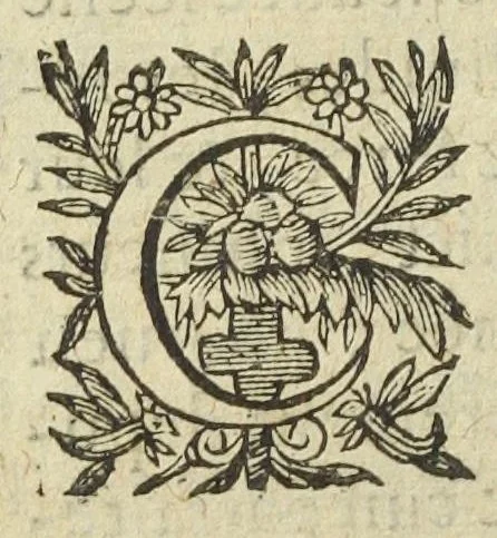 An illustration from L'abregé des secrets chymiques ou l'on void la nature des animaux vegetaux & mineraux entierement découverte : avec les vertus et proprietez des principes qui composent & conservent leur estre; & un traitté de la medecine generale. Par M. Pierre Jean Fabre, docteur en la faculté de medecine de l'université de Montpellier., 1636, leaf 348