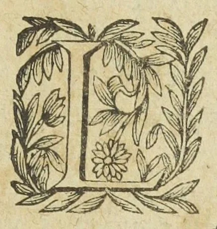 An illustration from L'abregé des secrets chymiques ou l'on void la nature des animaux vegetaux & mineraux entierement découverte : avec les vertus et proprietez des principes qui composent & conservent leur estre; & un traitté de la medecine generale. Par M. Pierre Jean Fabre, docteur en la faculté de medecine de l'université de Montpellier., 1636, leaf 369