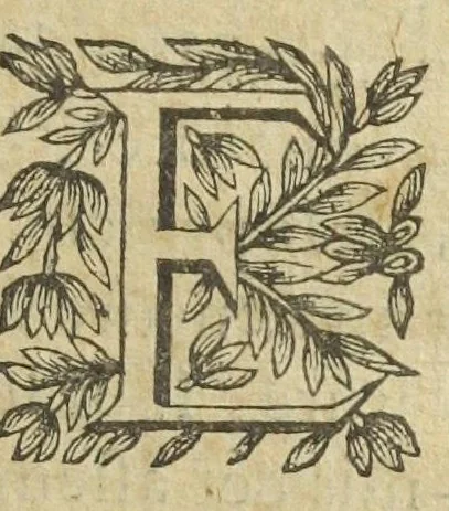 An illustration from L'abregé des secrets chymiques ou l'on void la nature des animaux vegetaux & mineraux entierement découverte : avec les vertus et proprietez des principes qui composent & conservent leur estre; & un traitté de la medecine generale. Par M. Pierre Jean Fabre, docteur en la faculté de medecine de l'université de Montpellier., 1636, leaf 375