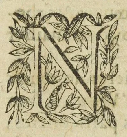 An illustration from L'abregé des secrets chymiques ou l'on void la nature des animaux vegetaux & mineraux entierement découverte : avec les vertus et proprietez des principes qui composent & conservent leur estre; & un traitté de la medecine generale. Par M. Pierre Jean Fabre, docteur en la faculté de medecine de l'université de Montpellier., 1636, leaf 43
