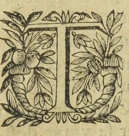 An illustration from L'abregé des secrets chymiques ou l'on void la nature des animaux vegetaux & mineraux entierement découverte : avec les vertus et proprietez des principes qui composent & conservent leur estre; & un traitté de la medecine generale. Par M. Pierre Jean Fabre, docteur en la faculté de medecine de l'université de Montpellier., 1636, leaf 53