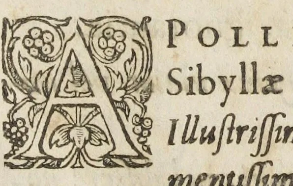 An illustration from Oswaldi Crollii Basilica chymica, pluribus selectis & secretissimis propria manuali experientia approbatis descriptionibus, & usuremediorum chymicorum selectissimorum aucta A Joan Hartmanno, M. D. et quondam chymoatroae in Academia Marpurgensi profess. celebrissimo, & principum Haffiae archiatro : edita a Johanne Michaelis philosophiae & medicinae doctore, et Georg. Everhardo Hartmanno authoris filio., 1635, leaf 241