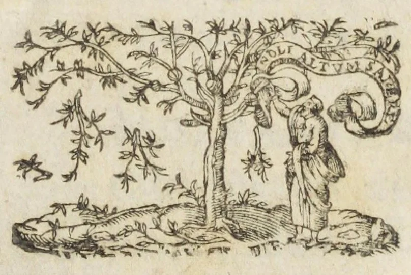 An illustration from Oswaldi Crollii Basilica chymica, pluribus selectis & secretissimis propria manuali experientia approbatis descriptionibus, & usuremediorum chymicorum selectissimorum aucta A Joan Hartmanno, M. D. et quondam chymoatroae in Academia Marpurgensi profess. celebrissimo, & principum Haffiae archiatro : edita a Johanne Michaelis philosophiae & medicinae doctore, et Georg. Everhardo Hartmanno authoris filio., 1635, leaf 5