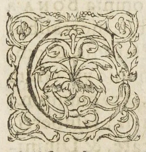 An illustration from Oswaldi Crollii Basilica chymica, pluribus selectis & secretissimis propria manuali experientia approbatis descriptionibus, & usuremediorum chymicorum selectissimorum aucta A Joan Hartmanno, M. D. et quondam chymoatroae in Academia Marpurgensi profess. celebrissimo, & principum Haffiae archiatro : edita a Johanne Michaelis philosophiae & medicinae doctore, et Georg. Everhardo Hartmanno authoris filio., 1635, leaf 687
