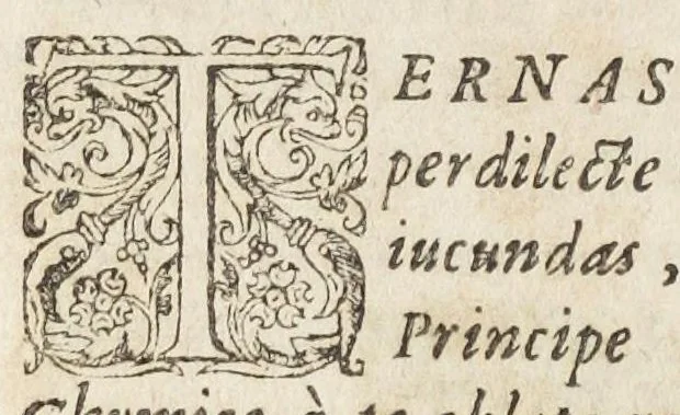 An illustration from Oswaldi Crollii Basilica chymica, pluribus selectis & secretissimis propria manuali experientia approbatis descriptionibus, & usuremediorum chymicorum selectissimorum aucta A Joan Hartmanno, M. D. et quondam chymoatroae in Academia Marpurgensi profess. celebrissimo, & principum Haffiae archiatro : edita a Johanne Michaelis philosophiae & medicinae doctore, et Georg. Everhardo Hartmanno authoris filio., 1635, leaf 696