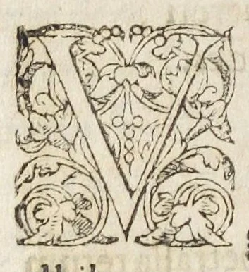An illustration from Oswaldi Crollii Basilica chymica, pluribus selectis & secretissimis propria manuali experientia approbatis descriptionibus, & usuremediorum chymicorum selectissimorum aucta A Joan Hartmanno, M. D. et quondam chymoatroae in Academia Marpurgensi profess. celebrissimo, & principum Haffiae archiatro : edita a Johanne Michaelis philosophiae & medicinae doctore, et Georg. Everhardo Hartmanno authoris filio., 1635, leaf 700