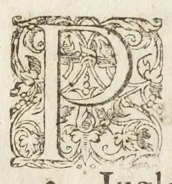An illustration from Oswaldi Crollii Basilica chymica, pluribus selectis & secretissimis propria manuali experientia approbatis descriptionibus, & usuremediorum chymicorum selectissimorum aucta A Joan Hartmanno, M. D. et quondam chymoatroae in Academia Marpurgensi profess. celebrissimo, & principum Haffiae archiatro : edita a Johanne Michaelis philosophiae & medicinae doctore, et Georg. Everhardo Hartmanno authoris filio., 1635, leaf 724