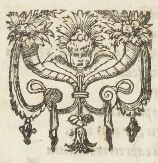 An illustration from Oswaldi Crollii Basilica chymica, pluribus selectis & secretissimis propria manuali experientia approbatis descriptionibus, & usuremediorum chymicorum selectissimorum aucta A Joan Hartmanno, M. D. et quondam chymoatroae in Academia Marpurgensi profess. celebrissimo, & principum Haffiae archiatro : edita a Johanne Michaelis philosophiae & medicinae doctore, et Georg. Everhardo Hartmanno authoris filio., 1635, leaf 836