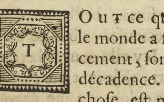 An illustration from Seconde et troisieme partie de la Chymie naturelle ou l'explication chimique et mechanique de l'évacuation particuliere aux femmes, & de la génération par Daniel Duncan, docteur en medecine de la faculté de Montpellier., 1687, leaf 293