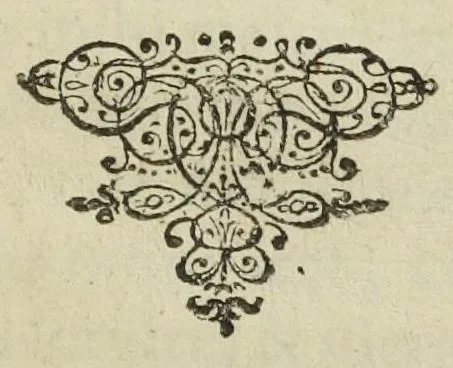An illustration from Libellus dialogorum, sive Colloquia, nonnullorum hermeticæ medicinæ, ac tincturæ universalis studiosorum, in gratiam eorum, qui hermeticam philosophiam amplectuntur, conscripta & edita, studio & labore Joh. Rudolphi Glauberi, 1663, leaf 0