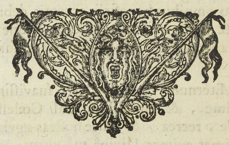 An illustration from Tractatus de signatura salium, metallorum et planetarum, sive Fundamentalis institutio, evidentissimè monstrans, quo pacto facillimè non solùm salium, metallorum, atque planetarum, fed etiam appellationum, & nominum ipsis impositorum vires, significatio, natura, & proprietates, non ex libris, aut scriptis, sed nudâ ipsorum signaturâ, circuli & quadrati ope, cognosci, addisci, & supputari queant. In gratiam eorum, qui miraculorum divinorum contemplatione utilissima & maximè necessariâ delectantur, opusculum conscriptum, & in lucem editum a Joanne Rudolpho Glaubero., 1659, leaf 43