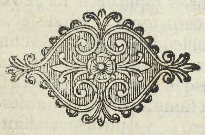 An illustration from I.N.J. scrutinium cinnabarinum seu Triga cinnabriorum, quæ sistit naturam cinnabaris antimonii nativæ & factitiæ vulgaris. Nec non specifici cephalici (des rothen Herz- und Haupt-Pulvers) D. Johann Michaelis, cum appendice de emplastro magnetico hernias scrotales curante, ad enchiresin chemicam & clinicam praxin accommodatum, operâ & studiô Godofredi Schulzii, med. d. & practici in patriâ Lutheri, 1680, leaf 185