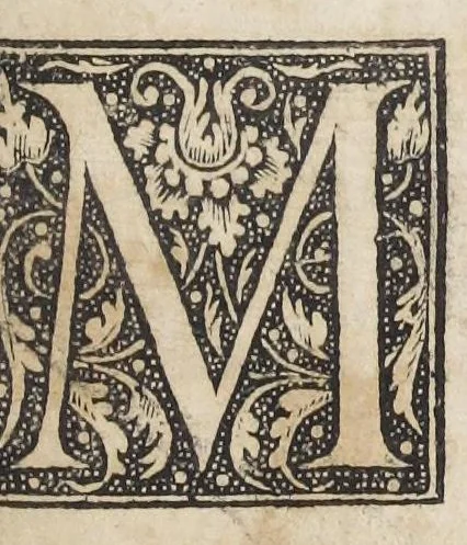 An illustration from Bibliotheca chemica contracta Nathanis Albinei, doctoris medici in gratiam & commodum artis chemicæ studiosorum.‎ [Suivi de :] Novum lumen chemicum, e naturæ fonte et manvali experientia depromptum. Cui accessit tractatus De sulphure. Auctoris anagramma, divi leschi genus amo. [Suivi de :] Enchiridion physicæ restitutæ. In quo verus naturæ concentus exponitur, plurimique antiquæ philosophiæ errores per canones & certas demonstrationes dilucide aperiuntur. Tractatus alter inscriptus Arcanum hermeticæ philosophiæ opus : in quo occulta naturæ & artis circa lapidis philosophorum materiam & operandi modum canonice & ordinate fiunt manifesta. Virumque opus ejusdem auctoris anonymi.‎$aArcanum hermeticæ philosophiæ opus : in quo occulta naturæ et artis circa lapidis philosophorum materiam & operandi modum canonice & ordinate fiunt manifesta. Opus ejusdem authoris anonymi.‎, 1673, leaf 113