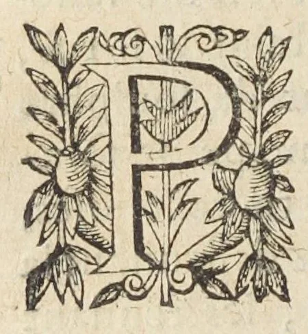 An illustration from L'abregé des secrets chymiques ou l'on void la nature des animaux vegetaux & mineraux entierement découverte : avec les vertus et proprietez des principes qui composent & conservent leur estre; & un traitté de la medecine generale. Par M. Pierre Jean Fabre, docteur en la faculté de medecine de l'université de Montpellier., 1636, leaf 124