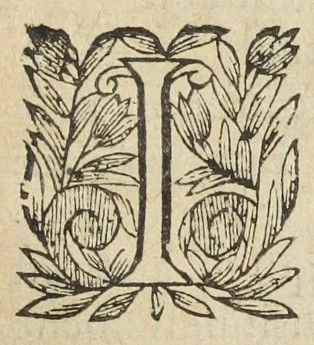 An illustration from L'abregé des secrets chymiques ou l'on void la nature des animaux vegetaux & mineraux entierement découverte : avec les vertus et proprietez des principes qui composent & conservent leur estre; & un traitté de la medecine generale. Par M. Pierre Jean Fabre, docteur en la faculté de medecine de l'université de Montpellier., 1636, leaf 183
