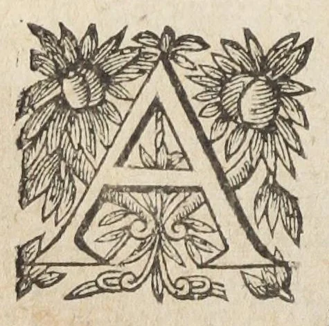 An illustration from L'abregé des secrets chymiques ou l'on void la nature des animaux vegetaux & mineraux entierement découverte : avec les vertus et proprietez des principes qui composent & conservent leur estre; & un traitté de la medecine generale. Par M. Pierre Jean Fabre, docteur en la faculté de medecine de l'université de Montpellier., 1636, leaf 206
