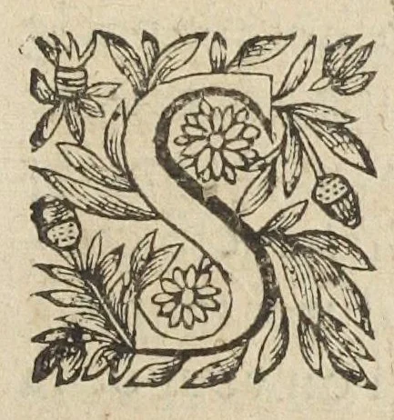 An illustration from L'abregé des secrets chymiques ou l'on void la nature des animaux vegetaux & mineraux entierement découverte : avec les vertus et proprietez des principes qui composent & conservent leur estre; & un traitté de la medecine generale. Par M. Pierre Jean Fabre, docteur en la faculté de medecine de l'université de Montpellier., 1636, leaf 211